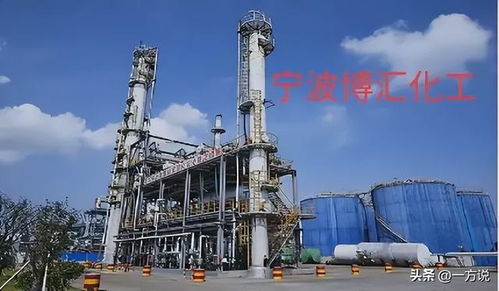 专家强烈谴责 博汇化工停产避税补缴,法治遭践踏社会稳定受威胁